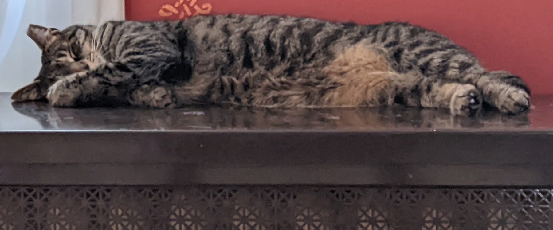 a large striped cat sleeps on his side, on top of a radiator cover