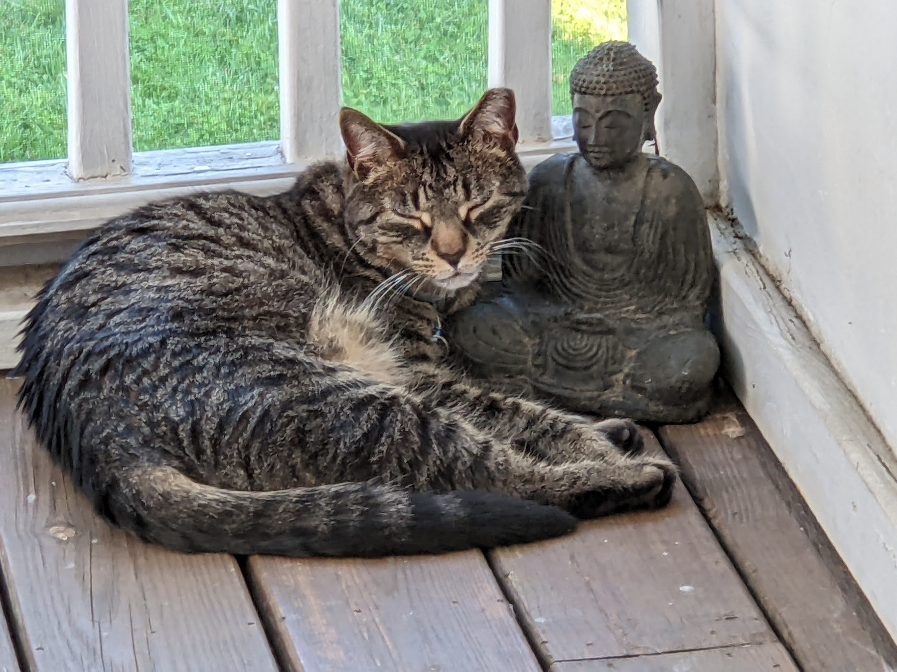 striped cat with closed eyes curled around a garden statue of Buddha, which also has closed eyes 