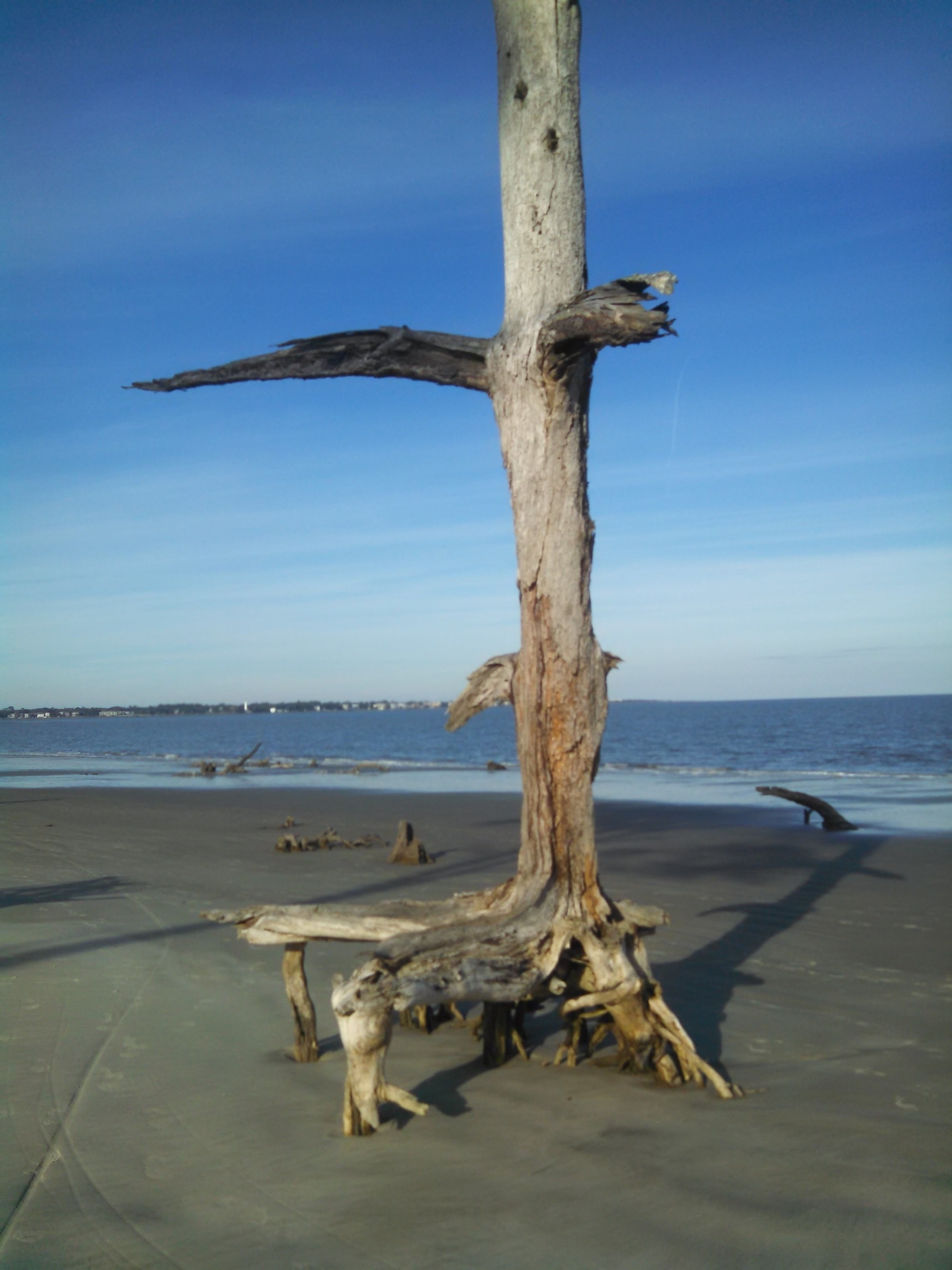 a battered driftwood tree standing on a beach with sea and sky horizon in background