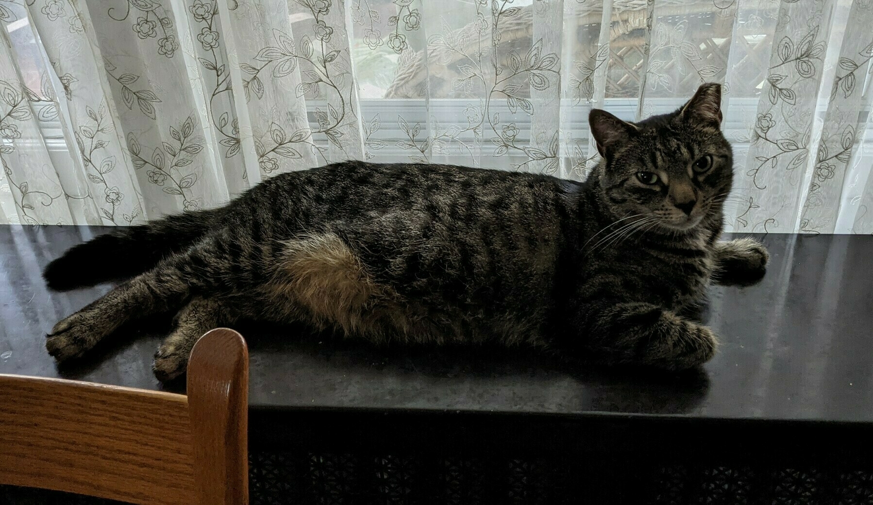 a striped cat lying on top of a radiator cover